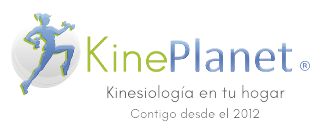 Logo Kineplanet Limitada